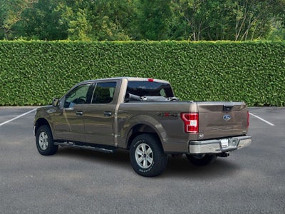 2019 Ford F-150 XLT 4WD SuperCrew 5.5' Box