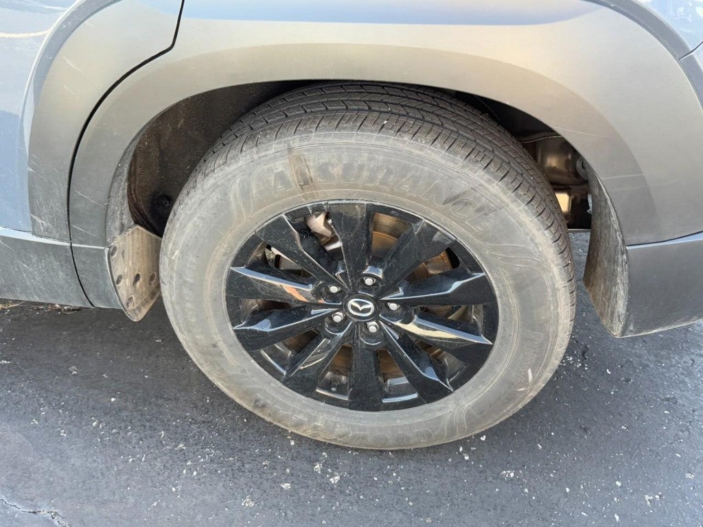 2025 Mazda Mazda CX-50 2.5 S Premium Package AWD