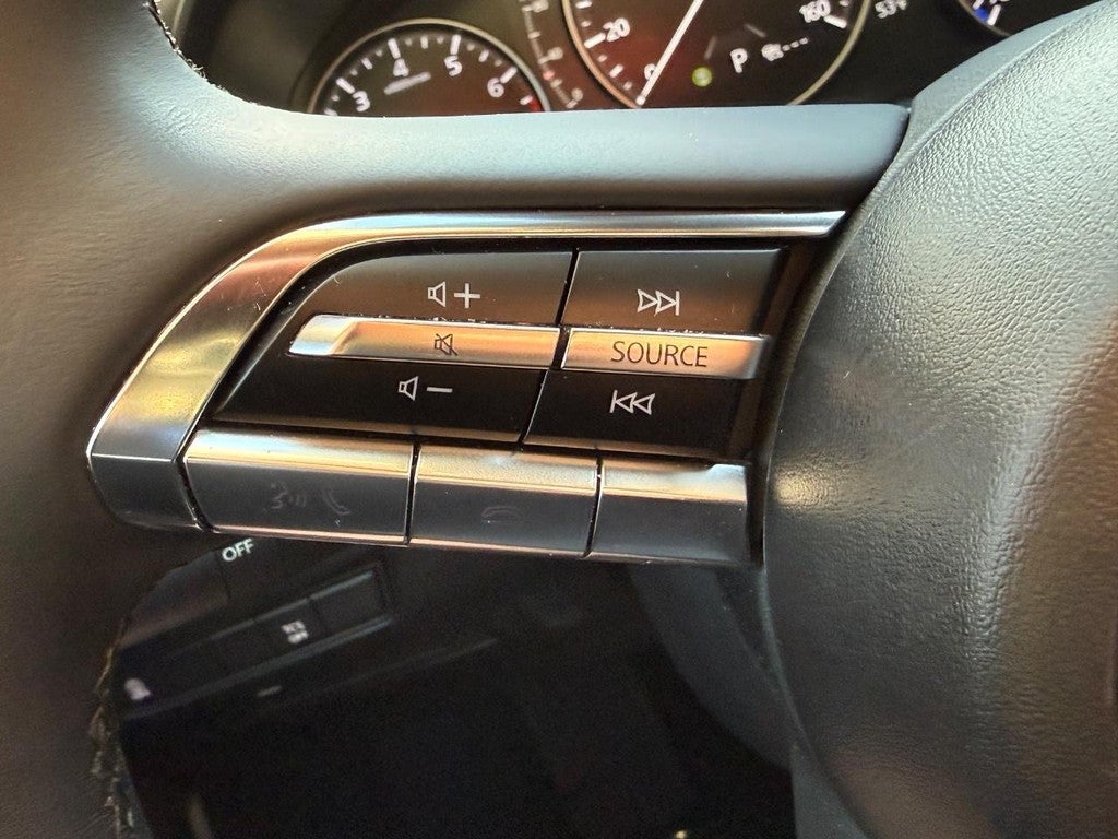 2025 Mazda Mazda CX-50 2.5 S Premium Package AWD