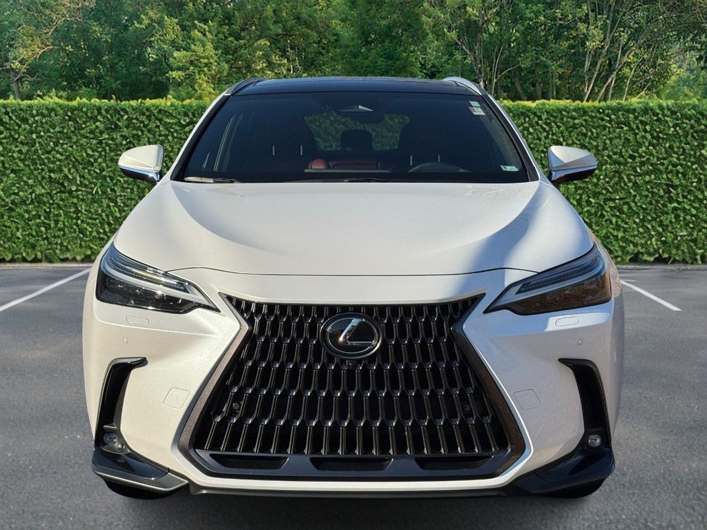 2022 Lexus NX NX 350h Luxury AWD