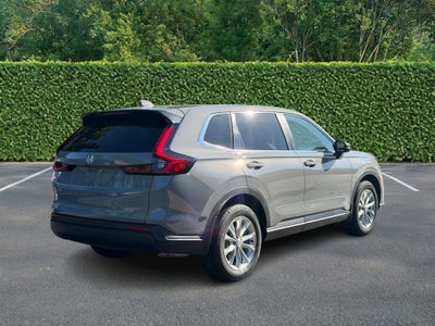 2025 Honda CR-V EX-L AWD